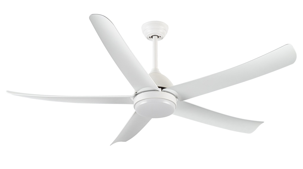 [5OZ56WH] BORAN ONZE 56 (Blanco)