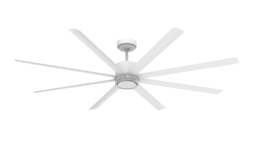 BORAN PLUS ARA 72 (Blanco)